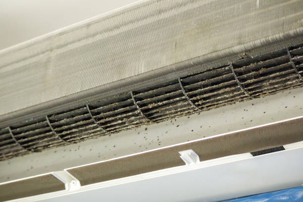 Best Affordable Duct Cleaning Services  in Franklin, NJ