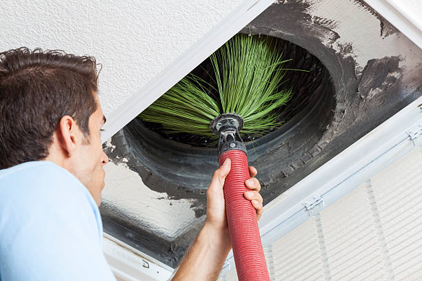 Best Air Duct Cleaning Near Me  in Franklin, NJ
